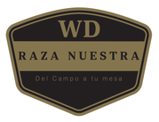 MZ Ingeniería